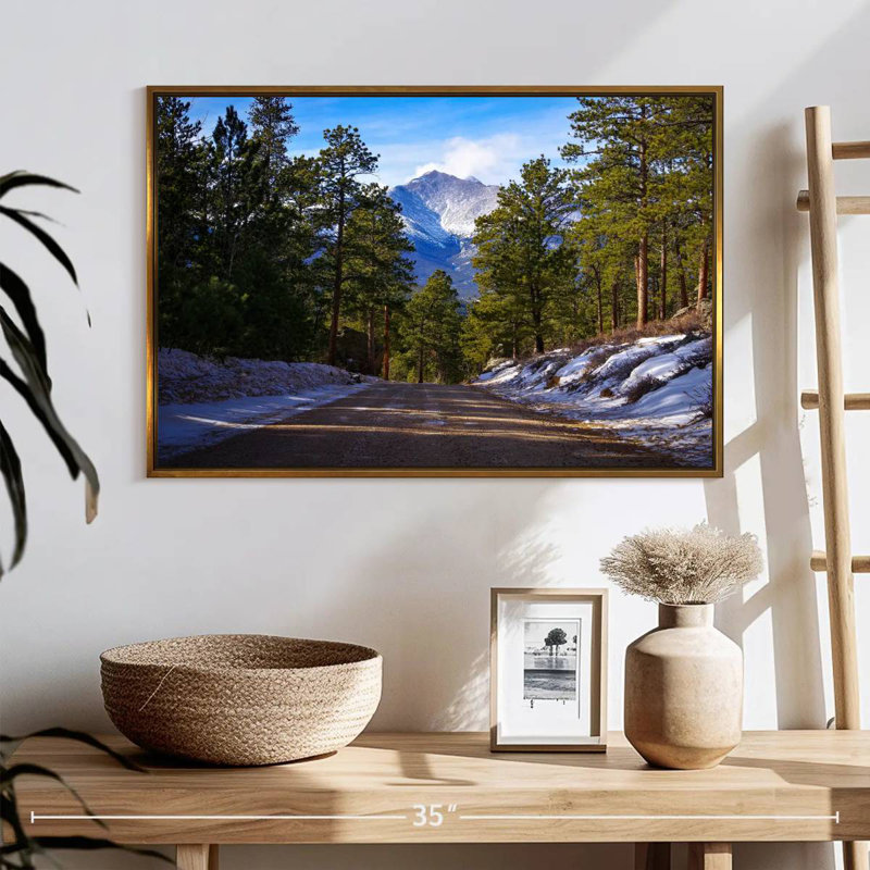 Sentier de randonnée du Colorado, 25 po x 17 po, Cadre flottant doré
