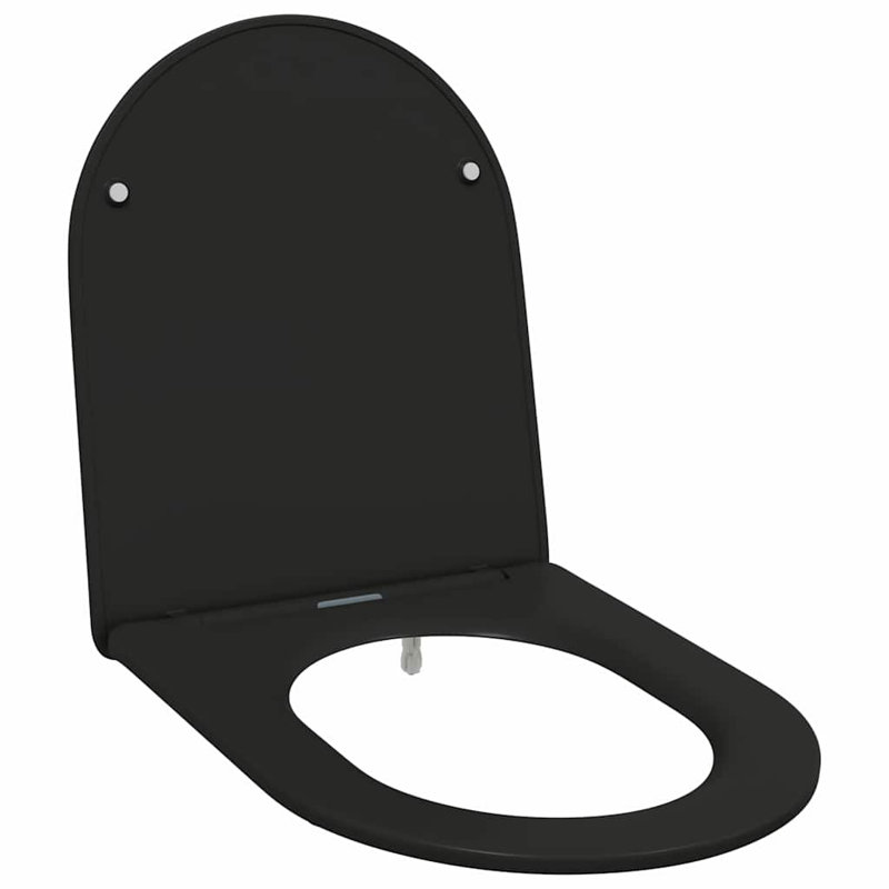 Toilet Seat Duroplast Modern Accessory Bathroom Fixture Indoor Sanitary, Black