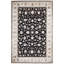 Oriental Area Rug-66174007