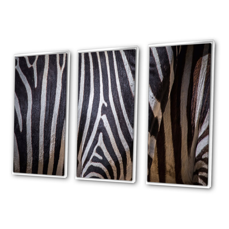 Structure noire et blanche de peau de zèbre - 3 pièces, reproduction sur toile, H 28 po x l 36 po x P 1 po, Cadre blanc