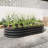Metal Raised Garden Bed, Black - Nurture A And Lively With Plants & Veggies Oval Container For Stunning Outdoor Display-296828533-296828535