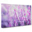 Purple Heather - Wrapped Canvas Painting-61837288