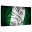 Vignette du drapeau nigérian-77842871