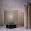 Arsha Glass Table Lamp-484444529