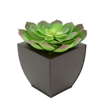 Succulent artificiel 2" en pot