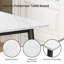 6 - Person Dining Set-87534541-87534542