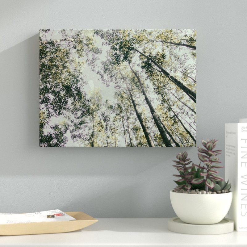 « tremblement de votre arbre », impression sur toile enroulée, H 16 po x l 20 po