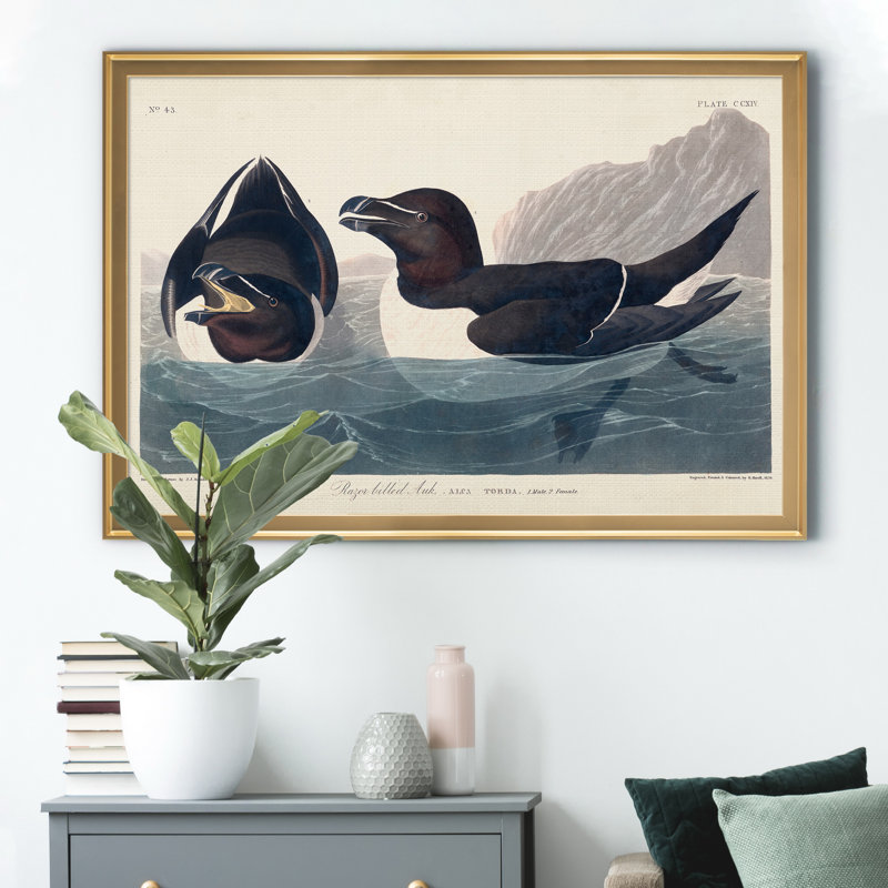 Bec de rasoir-reproduction de photo sur toile, H 30,5 po x l 42,5 po x P 1,5 po, Doré