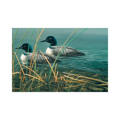 " Loon Lake " by Cynthie Fisher