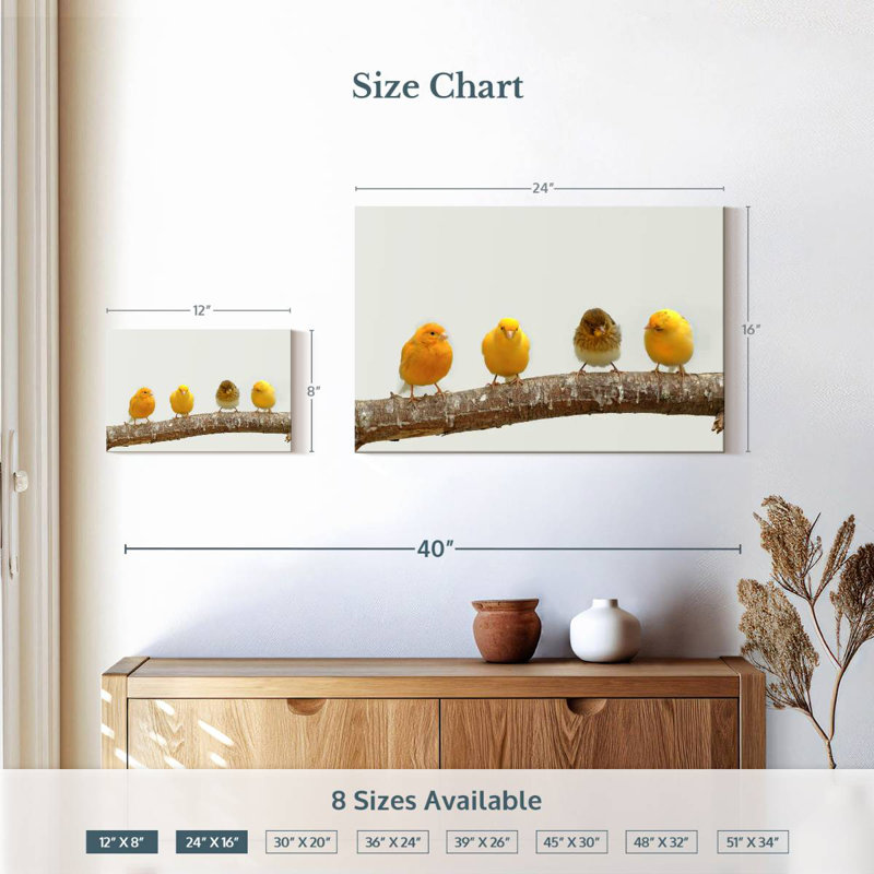Four Canary Birds