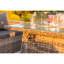 Lotus 10 Seater Fire Pit Dining Table Set