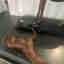 Customer photo 2 of 2