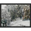 «Winter Snow Covered Birch Trees» sur-98299453-98299458