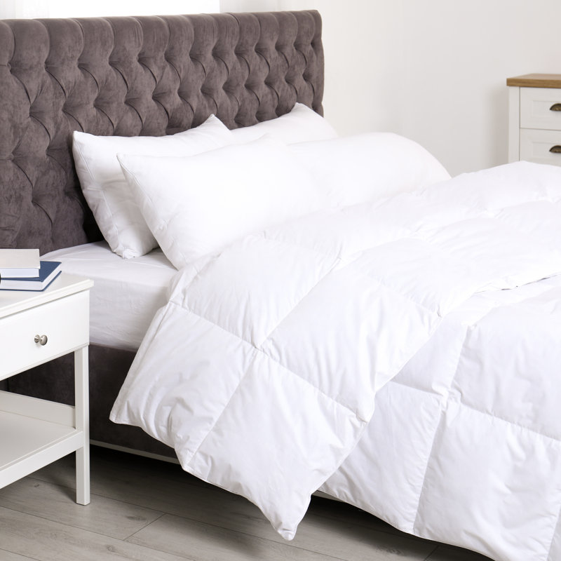 Édredon en duvet de bambou toutes saisons réversible avec rembourrage alternatif, Complète, Blanc