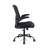 Ishwaq Task Chair