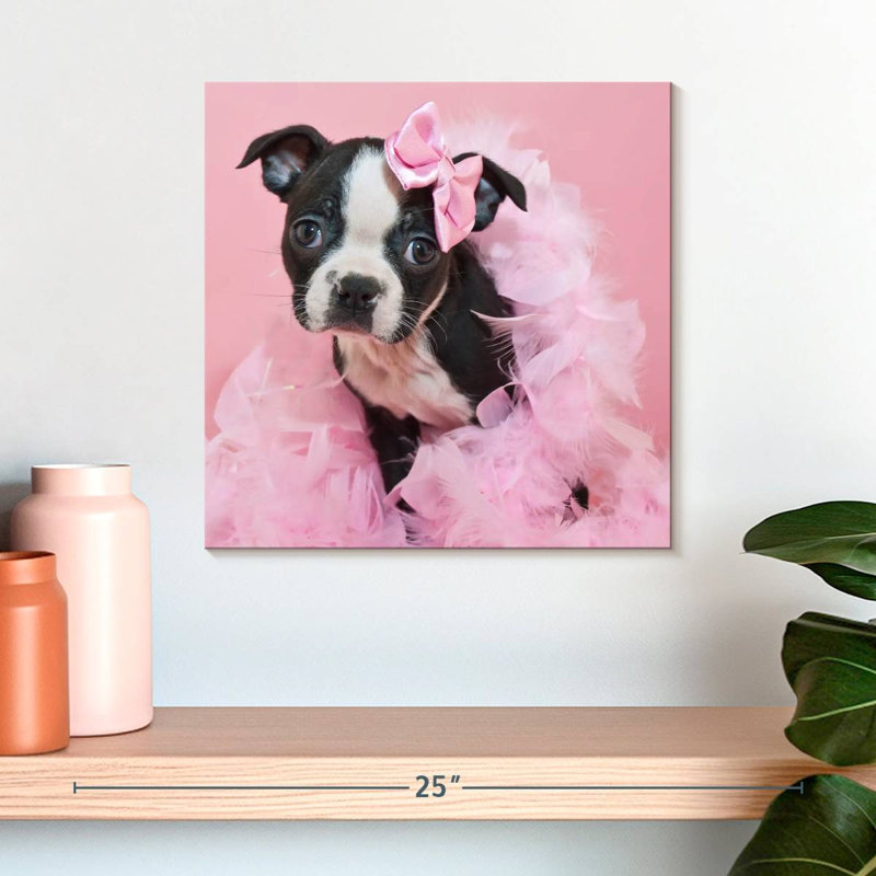 Crowle Sassy Boston Terrier, H 16 po x l 16 po