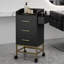 Chariot de rangement Beauty Adaysia-284242735