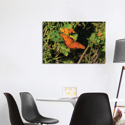Gulf Fritillary (Agraulis Vanillae) Butterfly On Lantana Flowers by Larry Ditto - Wrapped Canvas Print