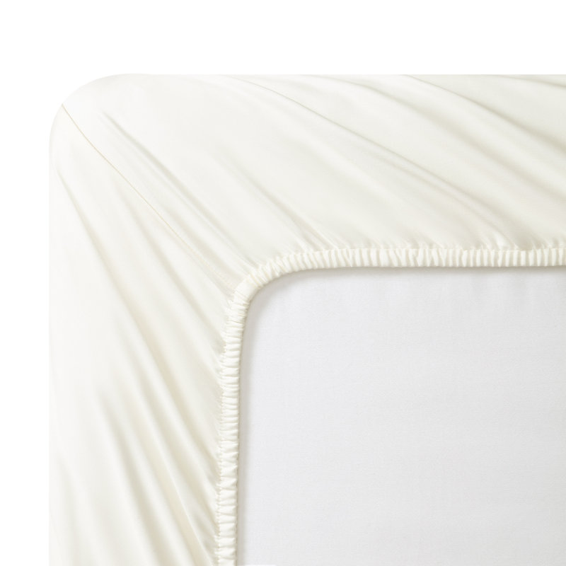 Ensemble de draps en satin CVC Vera Wang T800, Ensemble de draps pour grand lit avec 2 taies d'or, Ivoire