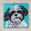 «Black and White Shih Tzu» par Carolee Vitaletti, art mural en verre acrylique-1842469634