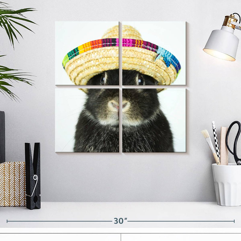 Brampt Rabbit Wearing Sombrero, 18" H x 18" W