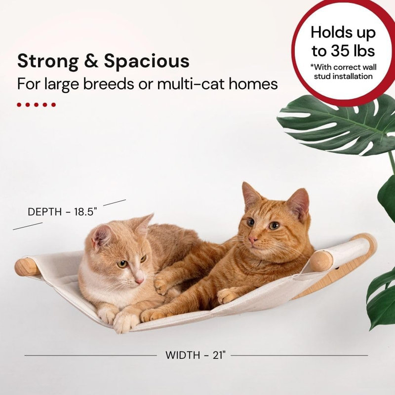 Ensemble de hamac mural pour chat - tablettes murales pour chat et meubles avec marches d'escalade pour grands chats, capacité de 35 lb, escalade et détente à l'intérieur, coussin remplaçable