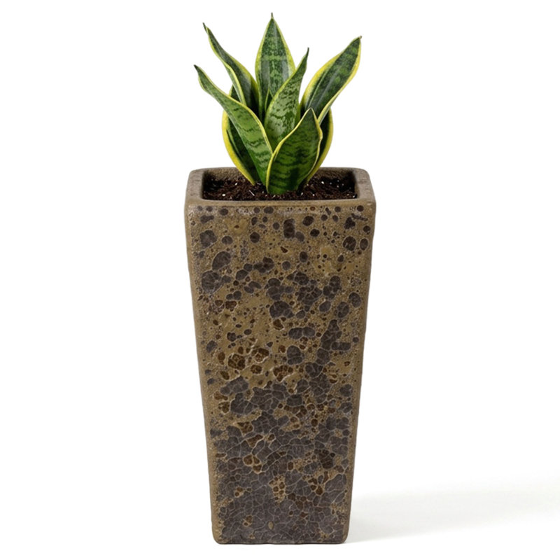 CRISCO TALL SQUARE PLANTER, 19.5" H x 10" W x 10" D, Brown