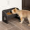 IRIS Elevated Adjustable Pet Feeder