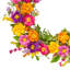 Couronne 22 po Summer Primula