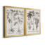 Sépia Besler Botanicals V - ensemble de 2 reproductions d'art sur toile encadrées-71888212-71888208