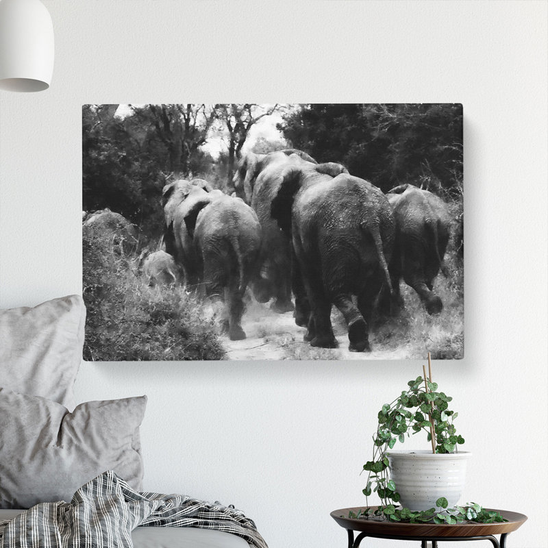 Herd Of Elephants - Wrapped Canvas, 40cm H x 60cm W x 3cm D