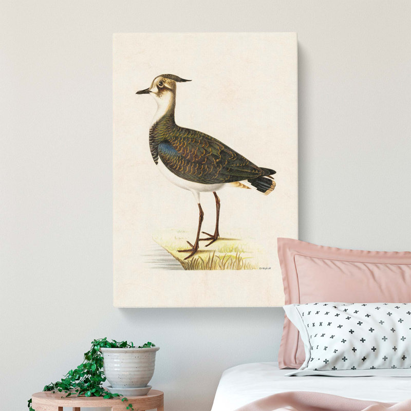Northern Lapwing Bird by Von Wright - Wrapped Canvas Print, 50cm H x 35cm W x 3cm D