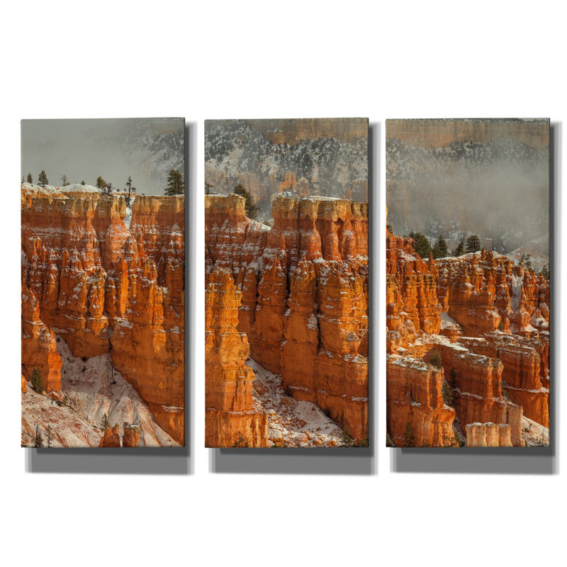 « Lève-toi et brille » de Bill Sherrell, triptyque mural, 152 x 102 cm, 60 po x 40 po