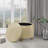 Twomey Storage Ottoman-1911961571