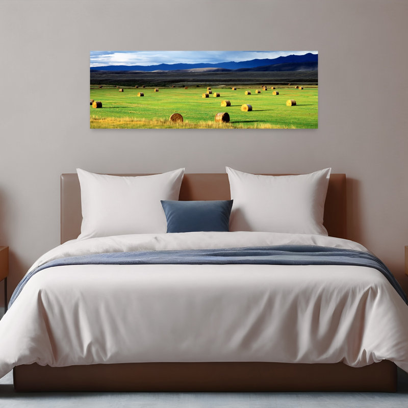 Haystacks, Field, Jackson County, Colorado, États-Unis, paysage contemporain abstrait, art mural, H 16 po x l 48 po