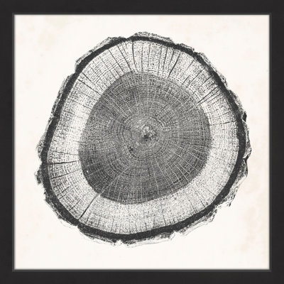 «Tree Ring II», reproduction encadrée