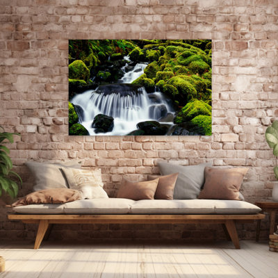 Waterfall Over Mossy Rocks Olympic National Park Washington United States Tranquil Abstract Contemporary Moss Nature Landscape Art