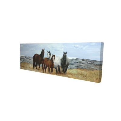 Rustic Horses in Meadow Canvas | Farm Animal Home Decor