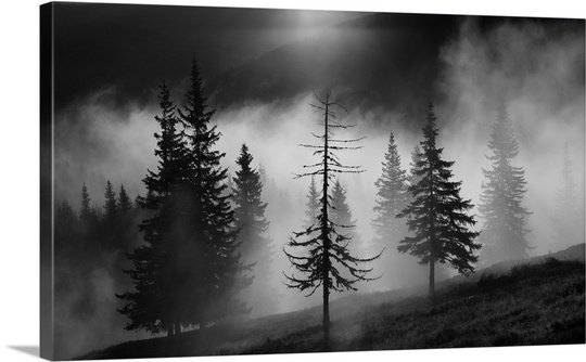 «Straub Misty Forest», reproduction d'impression, H 15 po x l 24 po x 1,5 po, Toile