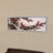 40 Wide x 13.5" Tall Panoramic Picture Frame, Snap Open Front Load, Wall-Mounting