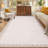Area Rugs for Living Room Washable Rugs Non Slip Stain Resistant Bordered CarpetFoldable Rugs for BedroomDining RoomNursery-1091369713-1091369614