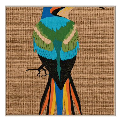 Washable Rainbow Bee eater Birds Area Rug