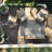 Indoor / Outdoor Rug-161492380