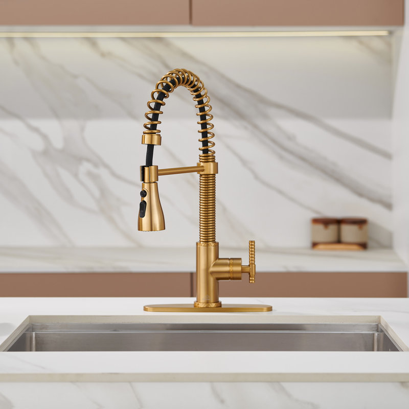 Bolden CASAINC 1.8 GPM Spring Neck Pull Down Kitchen Faucet with Deck Plate, Brushed Gold