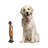 Dallin People Figurines & Sculptures