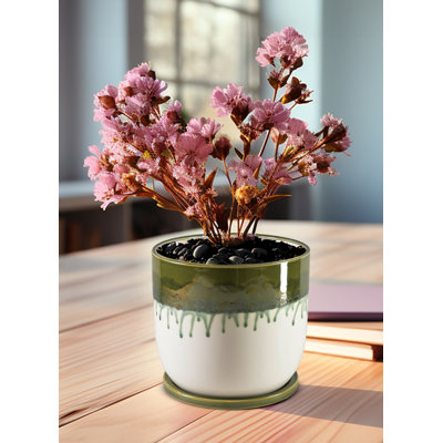 Pot à fleurs en céramique avec soucoupe Matcha de Ebern Designs