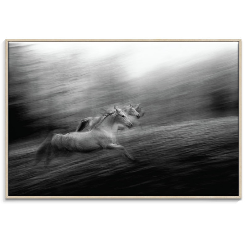 Print on Canvas, 102cm H x 152cm W, Timber Floater Frame