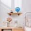 25.4 cm Clothes Rack