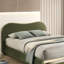 Grand lit tapissier en velours olive, tête de lit courbée, rangement, structure en bois massif de style contemporain, décor de chambre transitionnel