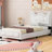 Ceasar Vegan Leather Platform Bed-7419384-7419390